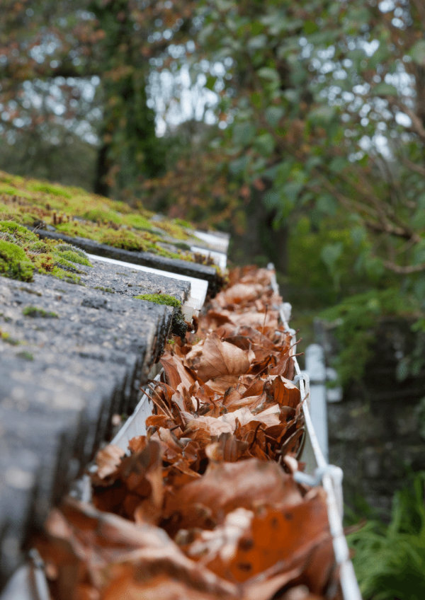 handy man on a ladder cleaning gutters